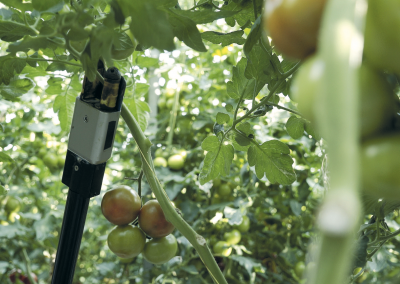 Robotisering in de tuinbouw